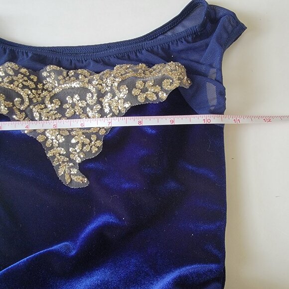 Weissman Dance Costume "Majesty" Velvet Bodice Gold Embellishments Layered Tulle - Picture 5 of 16
